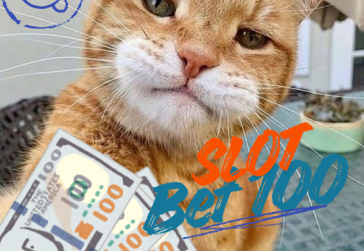 Tips Slot Bet 100 Agar Permainan Tetap Stabil Setiap Hari